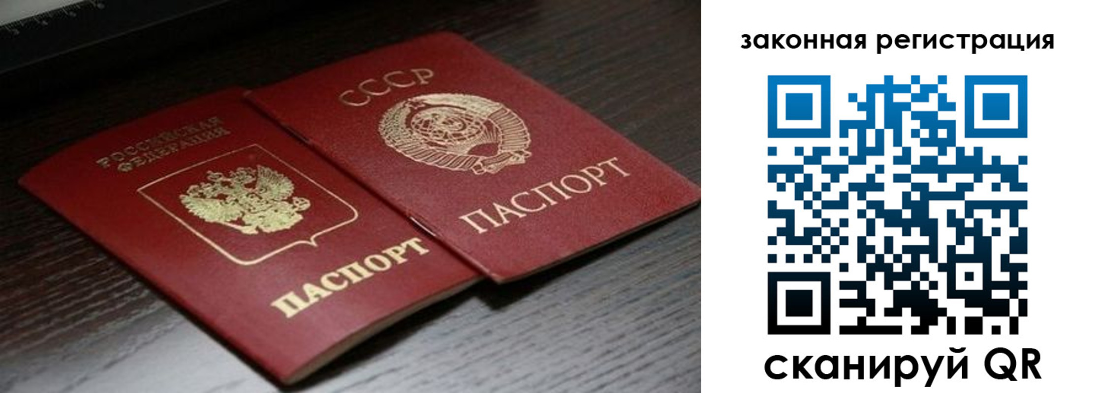 прописка поиск в Ряжске